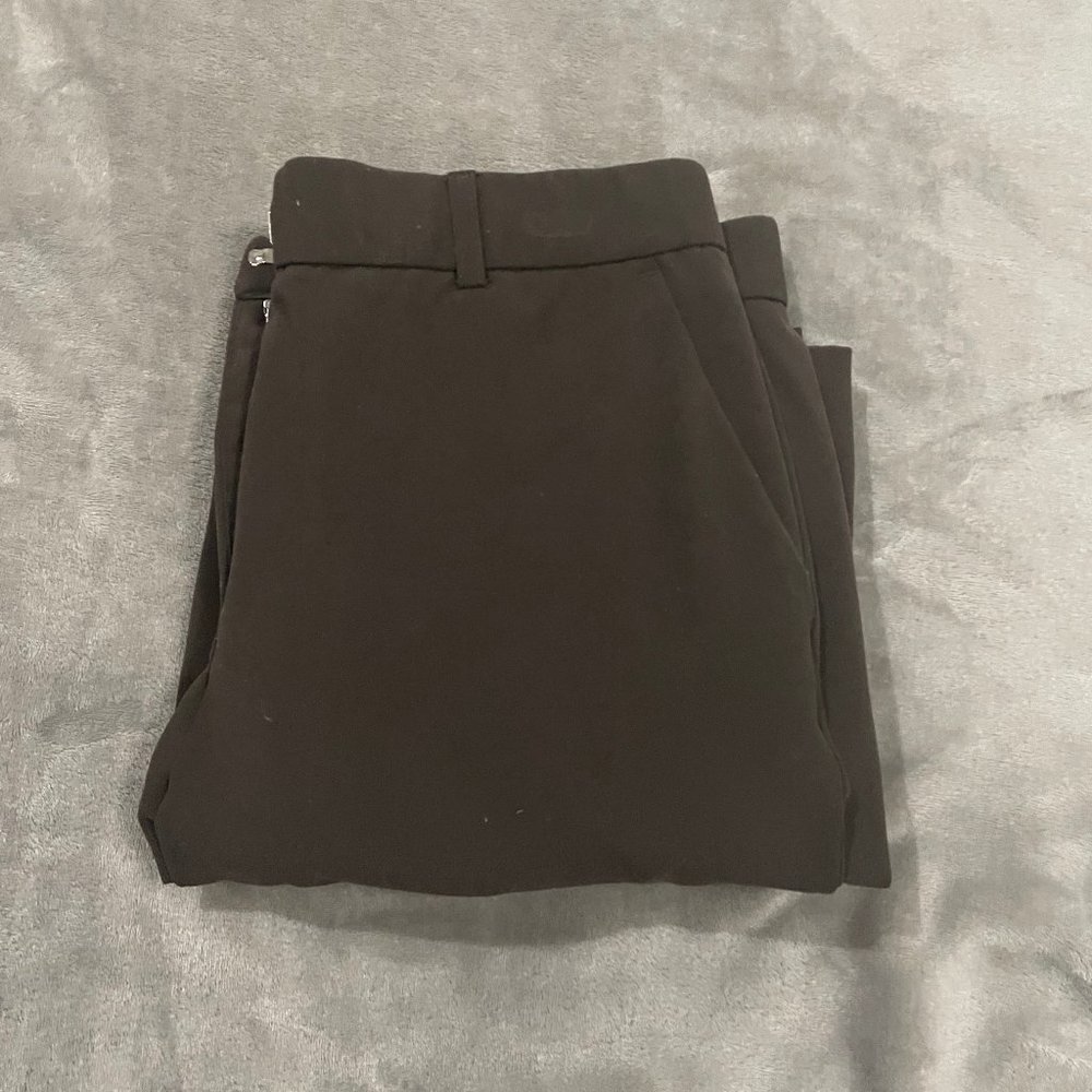 Sag Harbor Stretch Petite Brown Dress Pants
